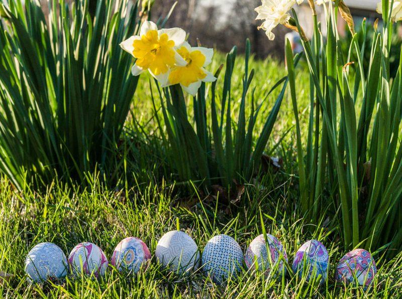 Illustration for article titled 9 Festive Photos of Easter Eggs